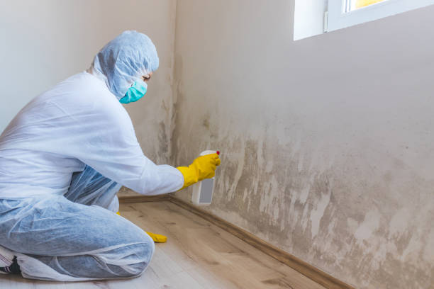Licensed Mold Removal service in Oxford, NC - WQB Mold Removal