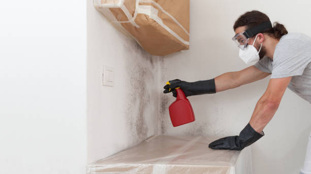 Professional Mold Removal technician working in Oxford, NC