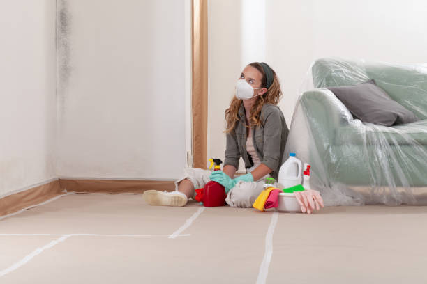 Reliable Mold Removal contractor in Oxford, NC by WQB Mold Removal