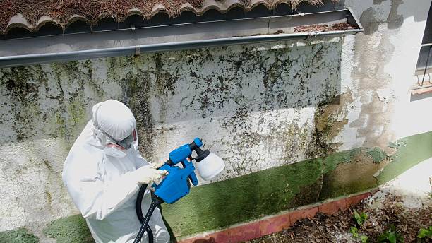 Top rated local Mold Removal specialists in Oxford, NC